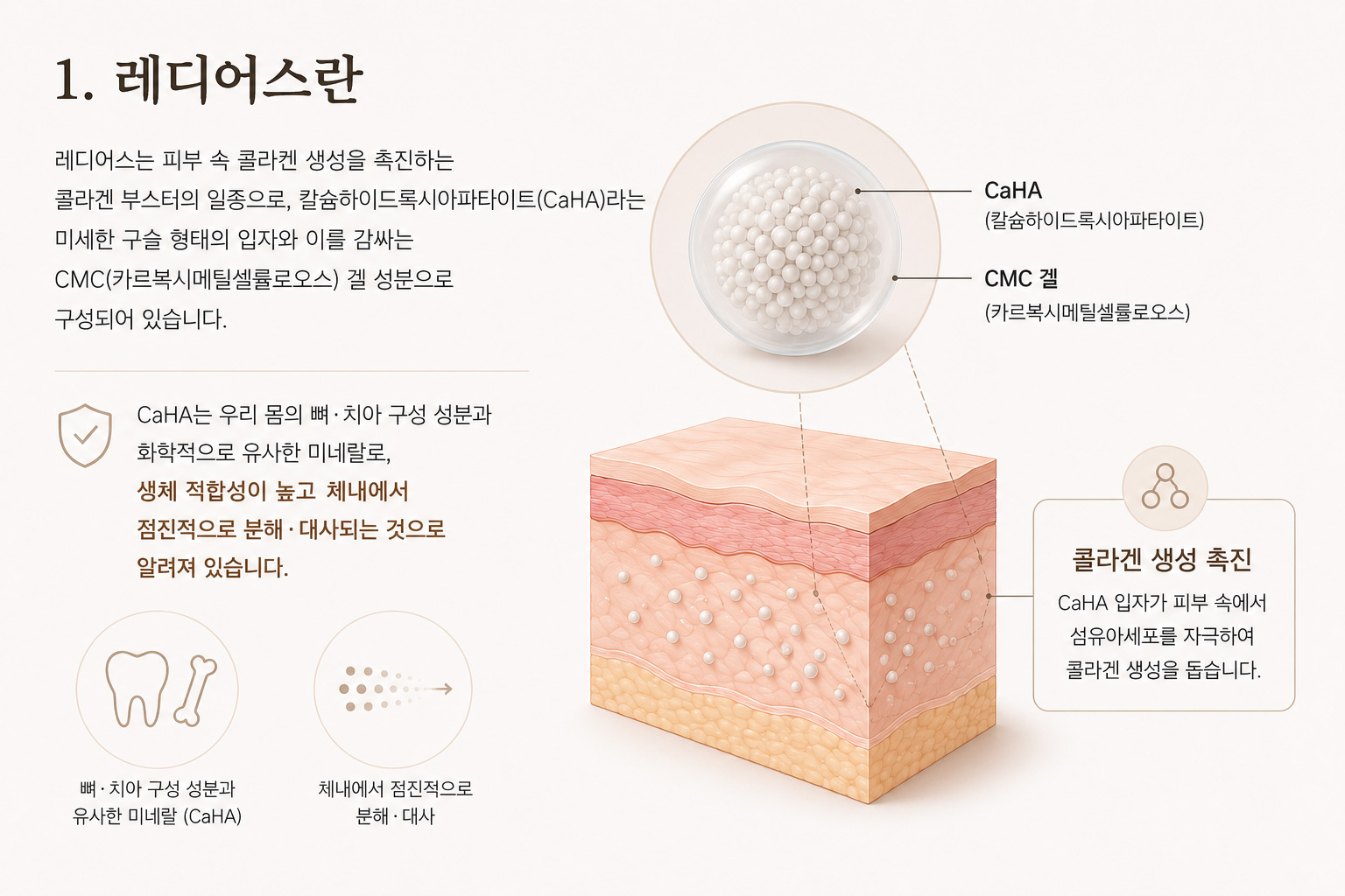 260813_레디어스란.jpg